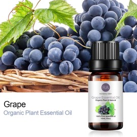 RAINBOW ABBY 2-Pack Grape Essential Oil 100% Pure Organic Plant Natural Flower Essential Oil for Diffuser Message Skin Care Sleep - 10ML