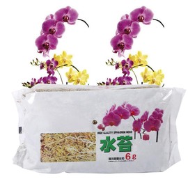 Voluxe Phalaenopsis Sphagnum Moss, Clean Product Orchid Sphagnum Moss, Drainability Durable House Orchid Garden for Phalaenopsis Orchid