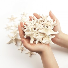 TaoQ C 24 PCS Starfish, Mixed Starfish 1" to 2" and 2" to 3" Knobby Starfish Natural Seashells Starfish Perfect for Wedding Decor Beach Theme Party, Home Decorations, DIY Crafts, Fish Tank