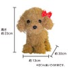 Broadwatch Talk, Move, Sing, Talking and Dance, Toy Poodle, Dog