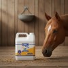 Mass Caballo Galon Aceite Vegetal