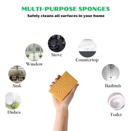THEGREATERPLANET 10 Pck Biodegradable Sponges Kitchen Natural Dishes Plant Based Plastic Free New