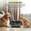 APD APETDOLA Wireless Dog Water Fountain,Battery Operated Dog Water Dispenser
