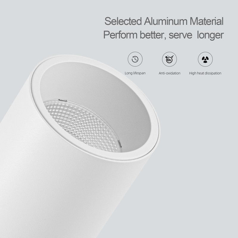 Aisilan Spotlights Indoor, LED Wall Spotlight Plug in with Switch,