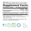 Natures Life, Magnesium Malate, 1300 mg, 100 Tablets by Natures