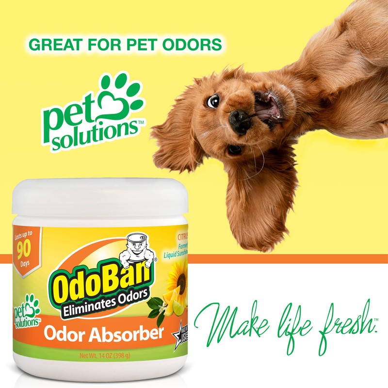OdoBan Solid Odor Absorber Eliminator for Home and Small Spaces,