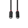 LINDY 1m USB4 Type C Cable, 240W