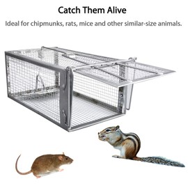 Gingbau Live Traps for Chipmunks Rats and Mice (Set of 2)