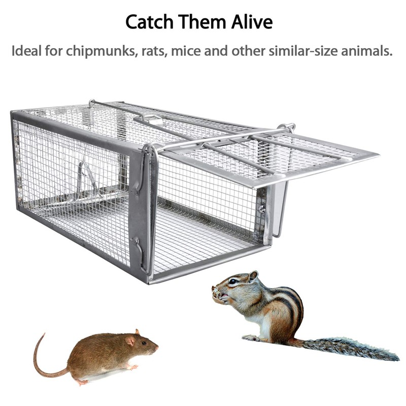 Gingbau Live Traps for Chipmunks Rats and Mice (Set of