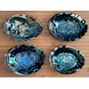 3-Pack Jumbo Abalone Shells 7–8 Inch Seashell Smudge Bowl for