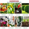 Organic Tropical Plant Fertilizer by Gardenera - 16 oz -