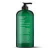 Botanic Hearth Tea Tree Body Wash -16 fl oz- All-Natural