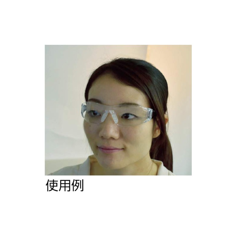 TRUSCO (torasuko) SLR Camera Notebook se-huteigurasu Clear TYN – 1