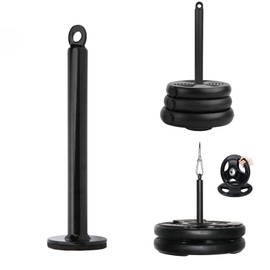 Stainless Steel Fitness Charging Pin, Weight Plate Charging Pin, Gym Fitness Barbell Plate Charging Pin, Free Weight Bars Accessories for Strength Training in the Gym at Home (20 x 220 mm)