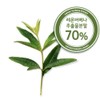 Lemon Verbena Extract / 레몬버베나 추출물