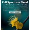 Healths Harmony St John's Wort Capsules Powerful & Potent Saint
