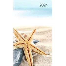 Ladytimer Slim Sea Star 2024 - Pocket Calendar 9 x 15.6 cm - Starfish - Weekly - 128 Pages - Note Book - Alpha Edition