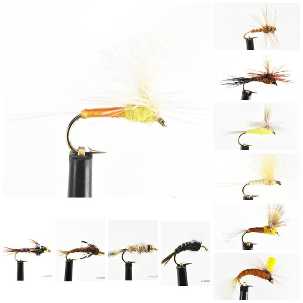 Ascent Fly Fishing Sulphur Mayfly Selection (Small)