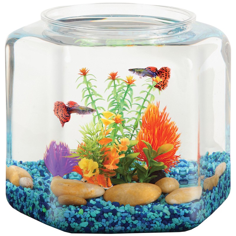 Koller Products Cuenco Hexagonal de 2 galones, plástico Resistente a