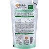 Additive-Free Foam Shampoo
