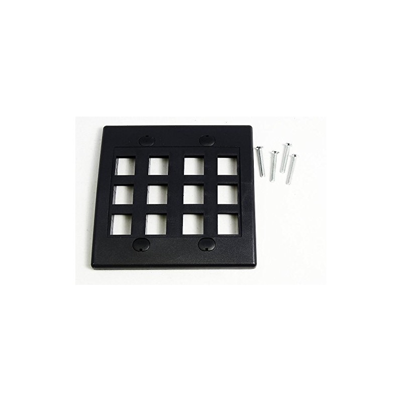 RiteAV - Keystone Wall Plate Double Gang 12-Port Black (1