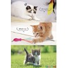 "lappland" Cat Toy, Cat Teaser, 1 Rod & Fishing Line