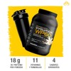 EVOLUTION, Protena de Suero de Leche, WP60, Whey Protein, 18