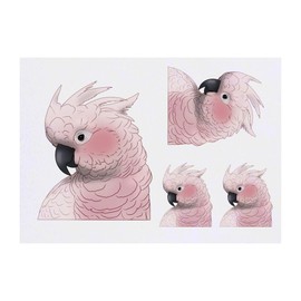 4 x 'Moluccan Cockatoo' Temporary Tattoos - Water Resistant, Skin-Safe, Non-Toxic Transfers, Mixed Sizes (TO00085014)