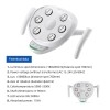 COXO Oral LED Light Induction Lamp for Dental Unit Chair
