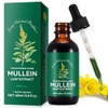 Mullein Leaf Extract for Lungs,60ML Premium Mullein Leaf Extract Drops