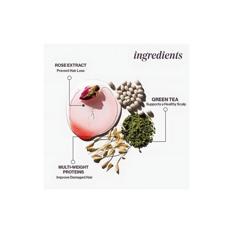 Champú Pureology Hydrate Hidratante 266 Tratado Col