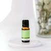 ECO. Modern Essentials Bergamot Pure Essential Oil, 10ml