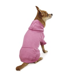 Casual Canine Cotton Basic Dog Hoodie