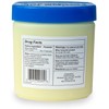 CareAll Petroleum Jelly 8 Oz Jar., Unscented, 100% Pure White