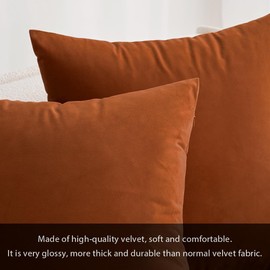 MIULEE Pack of 4 Fall Velvet Throw Pillow Covers Soft Solid Decorative Square Spring Cushion Case for Sofa Bedroom Living Room 18 x 18 Inch Rust-Burnt Orange