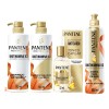 Rutina Pantene Anti Caida Biotinamina Vitamina B5 B3 4pack