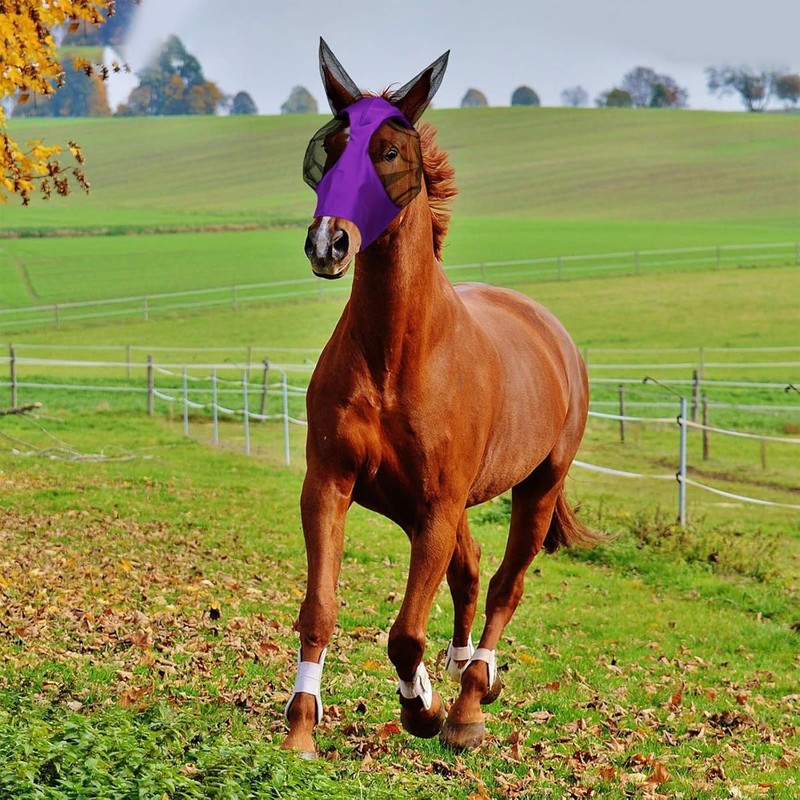 Horse Fly Mask with UV Protection - Breathable and Soft