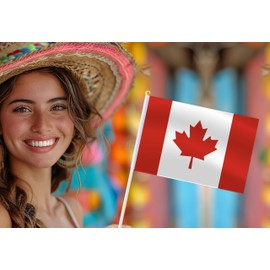 25 Pack Canada Handheld Small Flag,Mini Canadian Hand Held Miniature Stick Decor