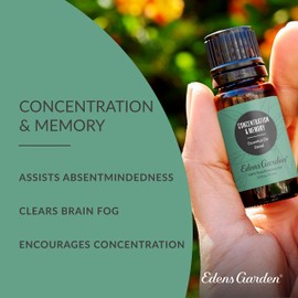 Edens Garden Concentration & Memory Essential Oil Blend, Best for Boosting Focus, Alertness & Cognitive Health, 100% Pure & Natural Premium Therapeutic Aromatherapy Essential Oil Blends 10 ml Roll-On