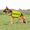 Reactive Dog Jacke Vest Space Needed Unpredictable Twat Dog Vest