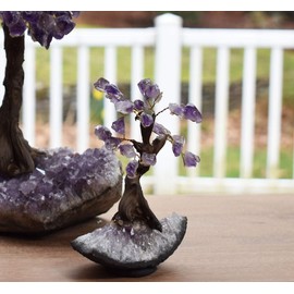 Natural Crystal Tree Decor, Desk Decor with Amethyst Crystal Chakra Stones, Gemstone Tree with Crystals and Healing Stones, Purple, Small, 3.5-Inches Tall - Nature’s Decorations