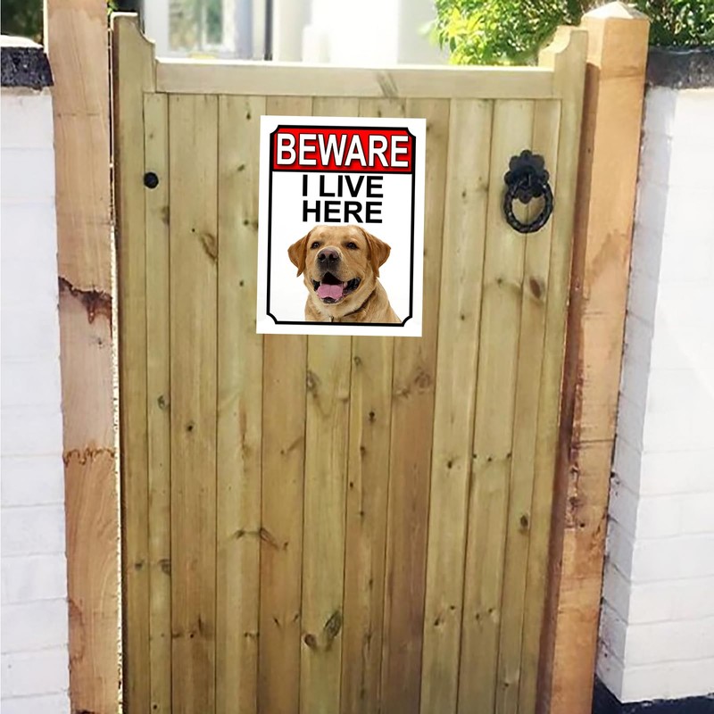 BEWARE I LIVE HERE METAL GATE SIGN YELLOW LABRADOR 200MM