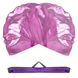 Baisdan 75"x54" Worship Flags with Storage Bag, Praise Dance Flags for Worship, Church Flags with Flexible Rods, 2 Pack, Purple