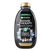 Garnier Botanic Therapy Magnetic Charcoal & Black Seed Oil, 400ml