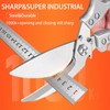 Professional Heavy Duty Kitchen Shears for Food – All in