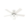 Hunter Fan 44 inch Traditional Fresh White Indoor Ceiling Fan