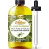 Artizen Lemon Eucalyptus Essential Oil Therapeutic Grade – Large 2oz