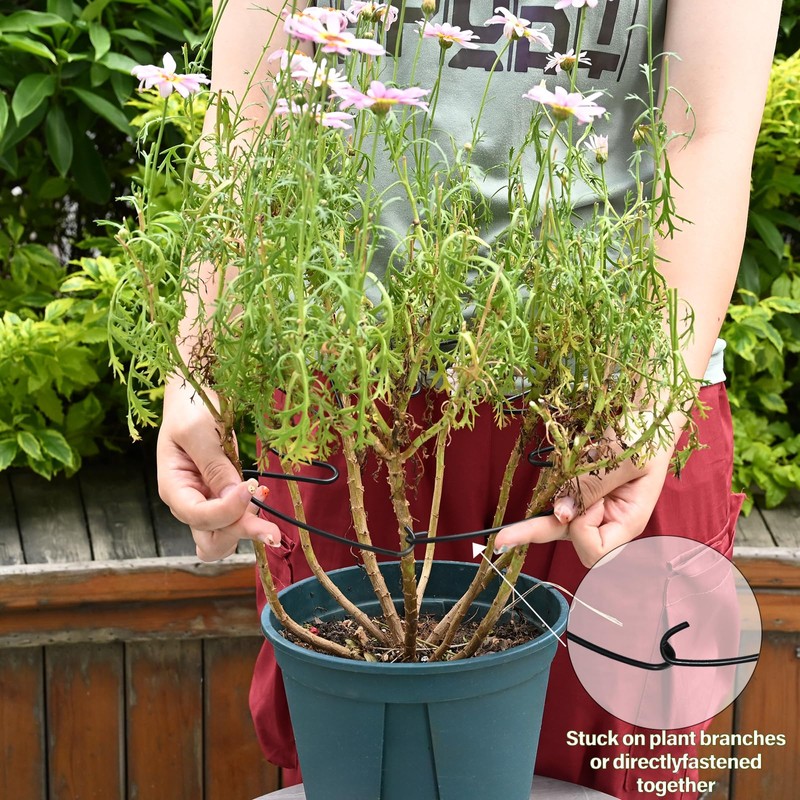 Yohsnor 5PCS Monstera Plant Stem Support - 11 * 9.4