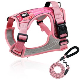 【Strong Recommendation for Shiba Inu】 XINIDEA Sturdy and Durable Dog Harness Set with Name Tag on the Back, For Small Dogs, Medium Dogs, Large Dogs, Large Dogs, 5.9 ft (1.5 m) Lead, No Stress Choking