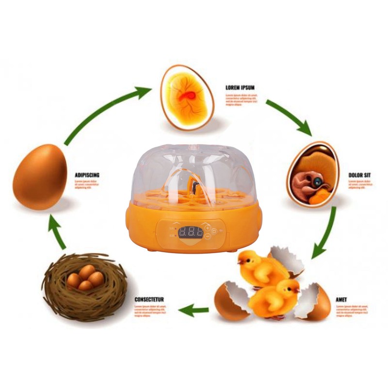 15W Egg Incubator 6 Eggs Digital Mini Fully Automatic Egg